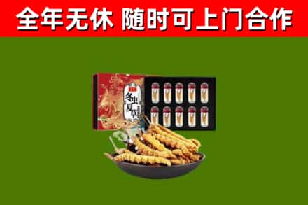 古县烟酒回收冬虫夏草礼盒.jpg